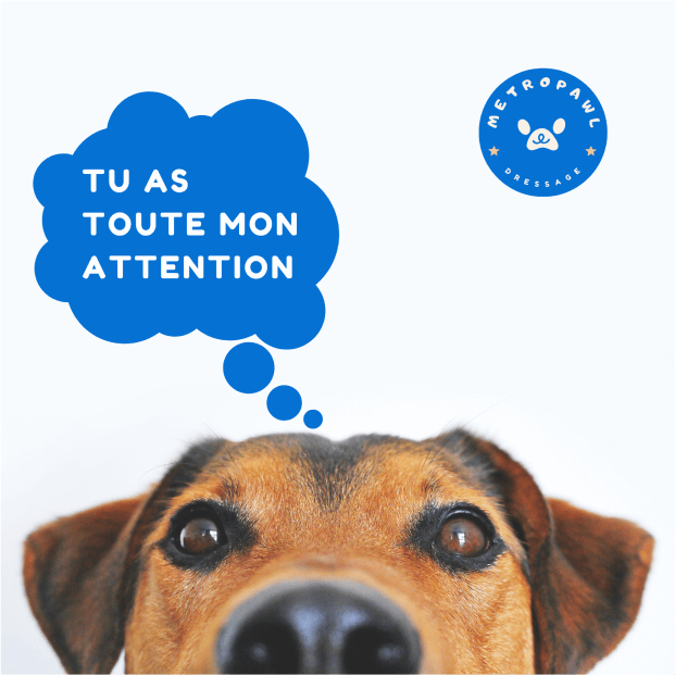 Exemple de publicité