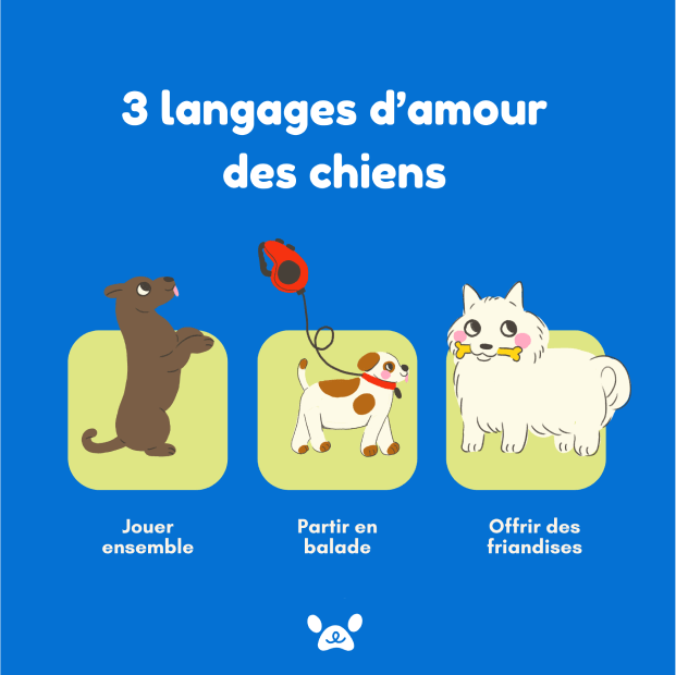 Une publication sur les réseaux sociaux