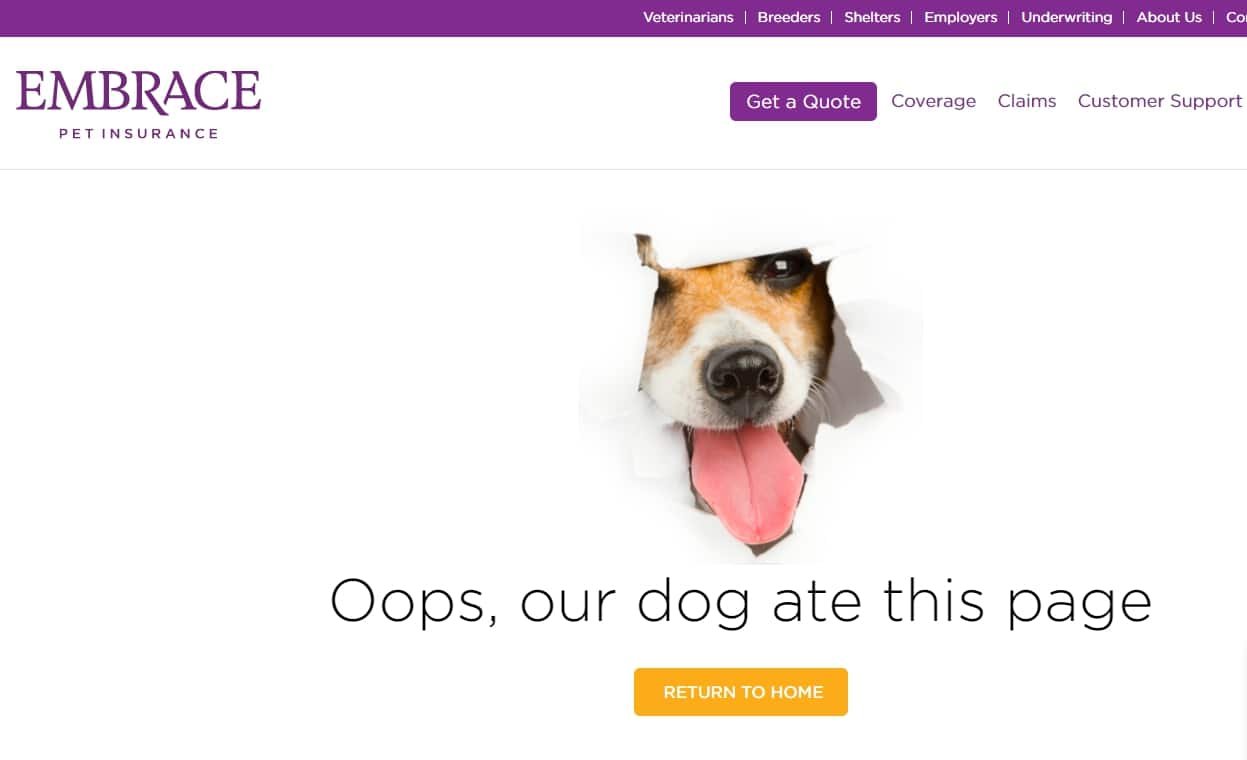 Dogs eat перевод на русский. Собака 404. Страница 404 для зоогостиницы. Error 404 Dogs. Картинка 404 собака.