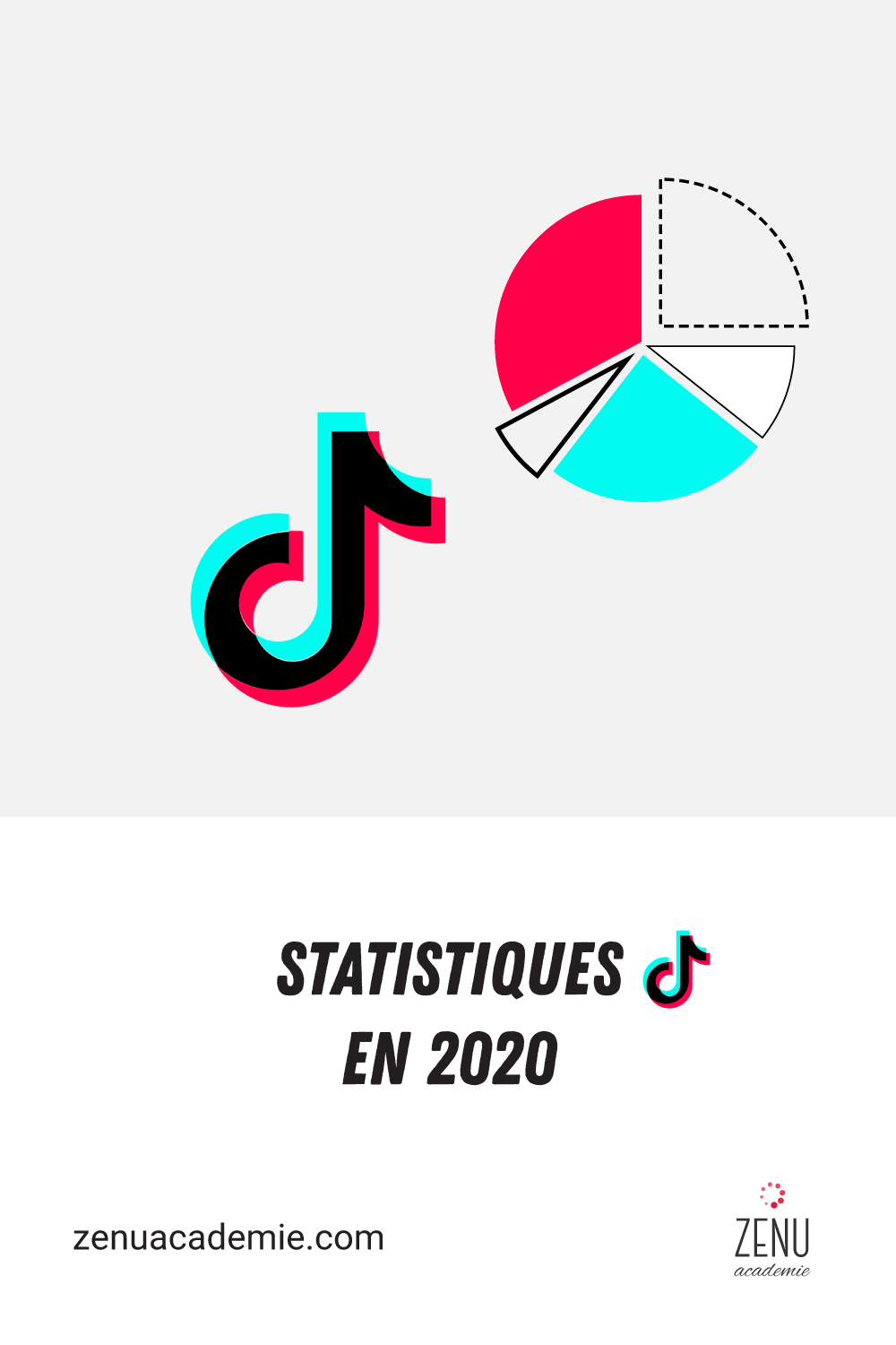 Les Statistiques Tiktok à Connaître En 2020 Zenu Académie 5302