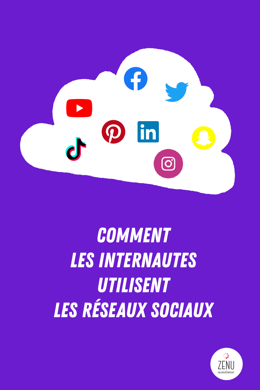 Utilisation des réseaux sociaux par les internautes