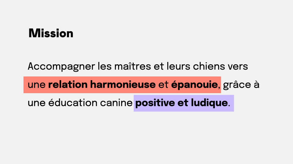 Mots-clés importants dans la mission de Metropawl