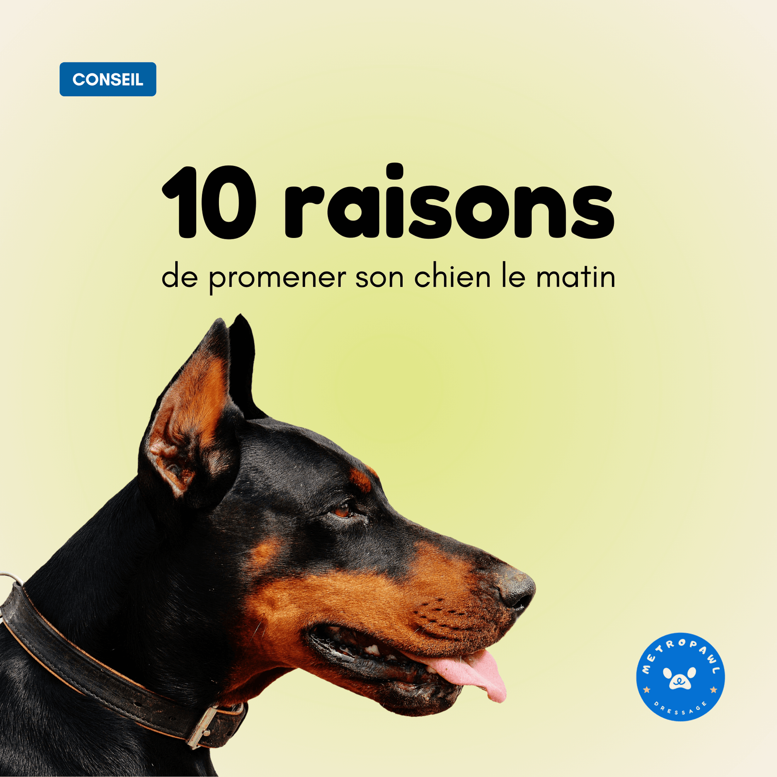 Exemple de publication Instagram